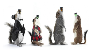 Illustration for article titled The 20 Weirdest, Coolest Liquor Bottles in the World